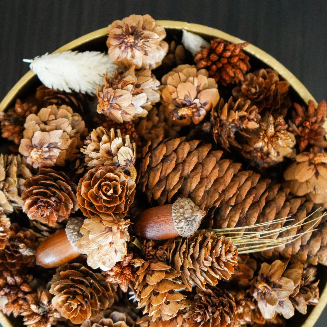 Holiday Clove 100% Natural Potpourri Pure Essential Oils
