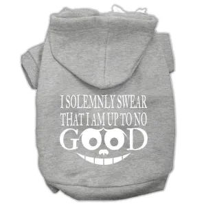 Up To No Good Screen Print Pet Hoodies Grey Size Xs (8)